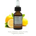omeorganic_reidra_Soothing Oil - olejek, który koi i oczyszcza podrażnioną i wrażliwą skórę głowy.jpg